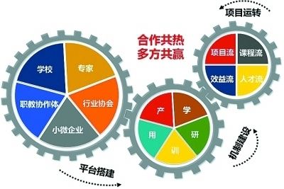 三角枫是常绿还是落叶乔木