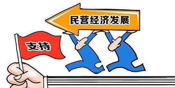 乌桕常绿还是落叶